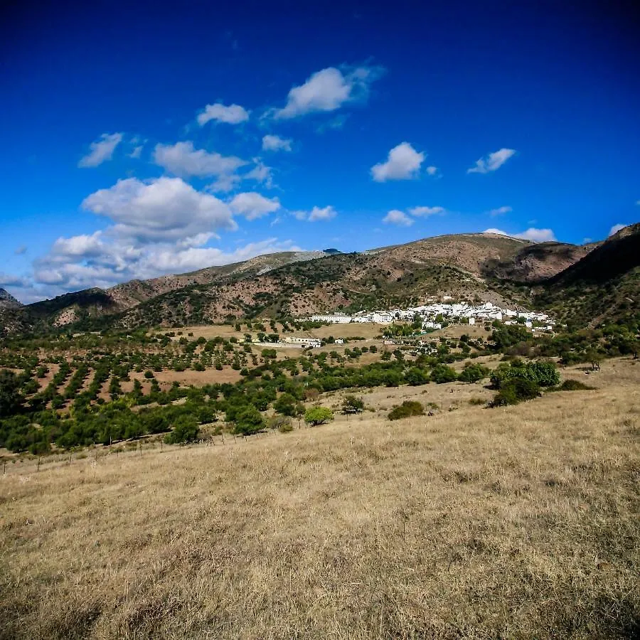 Jimera de Líbar El Molino Del Panadero 게스트하우스