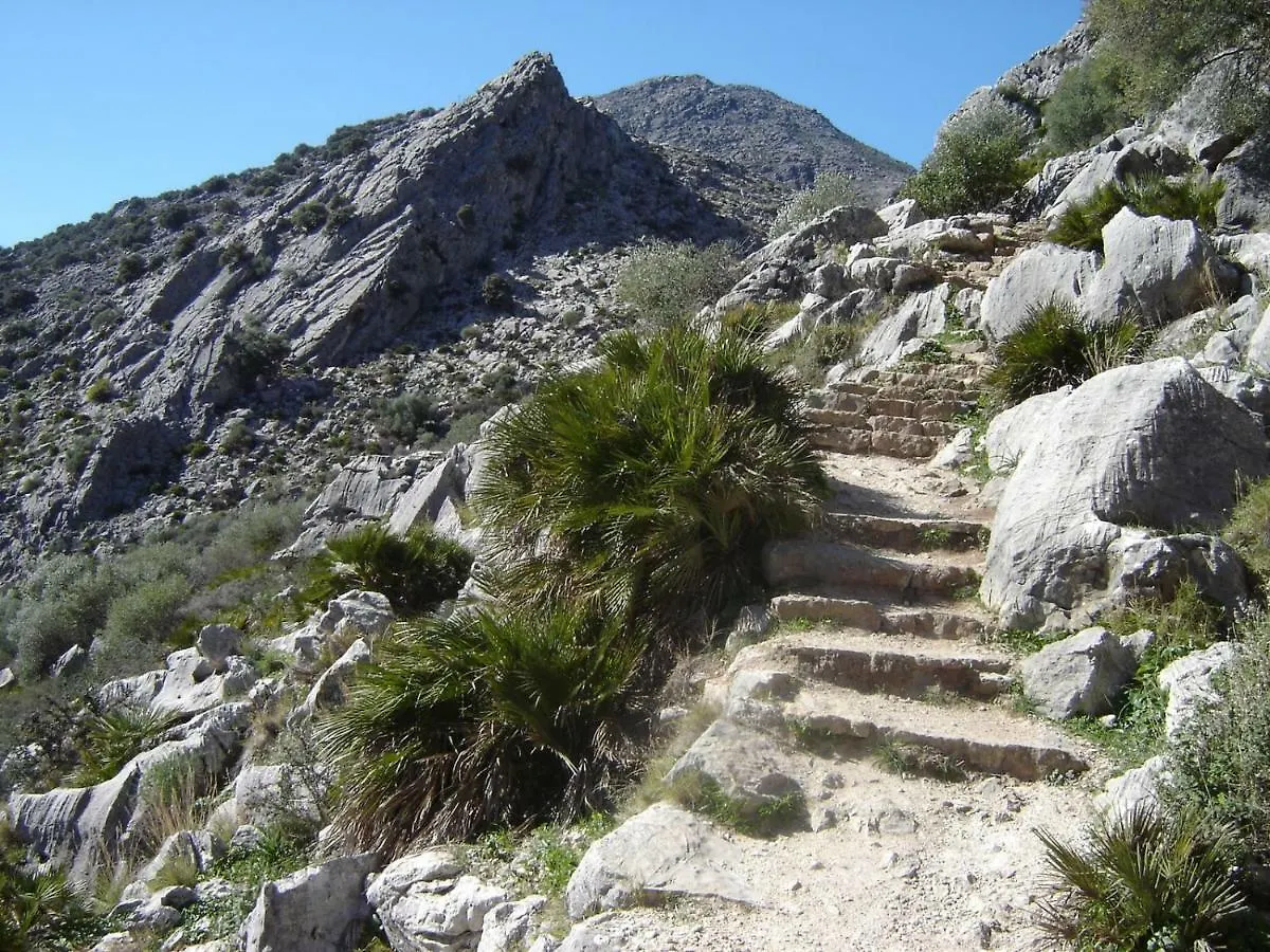 Pensjonat El Molino Del Panadero Jimera de Líbar Gospodarstwo wiejskie